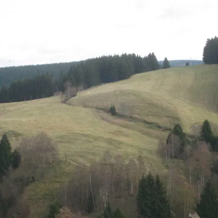 Fewo Therme im Oberharz Altenau  Exterior foto