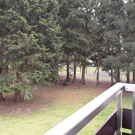 Fewo Therme im Oberharz Altenau  Exterior foto